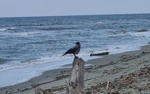 La météo du jour en Corse