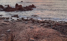 La météo du jour en Corse