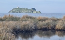 La photo du jour : la Giraglia