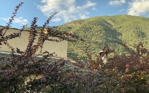 La météo du jour en Corse