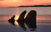 La photo du jour : Poisson exotique dans la mer à Bonifacio ?