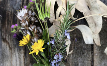 À Porto-Vecchio, l’Alma Salvatica ouvre ses portes aux producteurs et artisans locaux