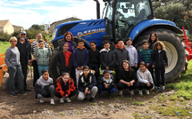 Bastia - 17 élèves de l'école Marie Reynoard en immersion chez un éleveur ovin de Lucciana