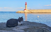La météo du jour en Corse