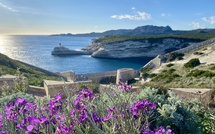 A màghjina : i fiori di a Strada Vecia