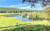 A màghjina :  u stagnu di Tanchiccia 