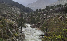 A màghjina : U Golu scatinatu  