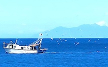 A màghjina : un batellu di pesca rientra in portu