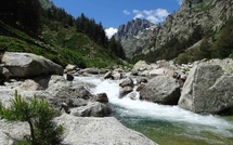 Corte : les navettes pour la Restonica de retour pour la saison 2025