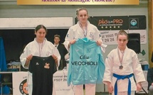 Judo : deux médailles nationales pour le club Shin Gi Tai Borgo