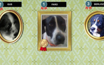 Concours "Ma Bête" : Faro remporte 6 mois de croquettes pour le refuge de Caldaniccia