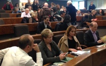 Comité local de santé mentale d'Ajaccio :  Les acteurs veulent améliorer la qualité des actions