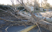 Tempête : Des vents à 160 km/h dans le Cap Corse