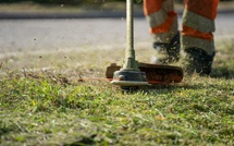 Obligation de débroussaillement : les maires corses face à une loi inapplicable