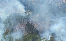 Incendie de Tova : une "indifférence" qui inquiète u Cullettivu per a furesta corsa