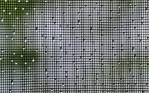 Les différents types de moustiquaires : plissée, enroulable, fixe… laquelle est faite pour vous ?