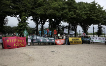 Loi Duplomb : les médecins libéraux de Corse alertent sur les risques sanitaires et environnementaux