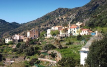 Barrettali met le cédrat à l’honneur ce jeudi