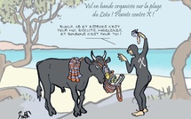 Le dessin de Battì : vol en bande organisée sur la plage du Lotu