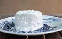 AOP Brocciu : le Gruppamentu di i Pastori Corsi défend la modification du cahier des charges