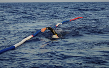  De Calvi à Monaco à la nage : le pari extrême du Suisse Noam Yaron