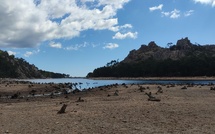 Sécheresse : restrictions d’eau renforcées dans le Sud-Est de la Corse-du-Sud