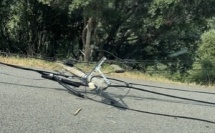 Route de Suerta : poteaux brisés et branches arrachées par le vent