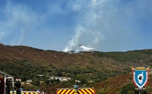 Appietto : un incendie ravage 3 hectares de végétation