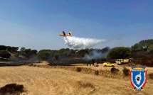 Afa : un incendie parcourt deux hectare de végétation 