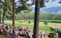 Zonza : tensions entre la mairie et la société hippique après la fermeture temporaire de l’hippodrome de Viseo