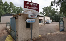 Abattoir de Porto-Vecchio : le SMAC promet un accompagnement des éleveurs