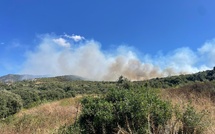 Oletta : l'incendie fixé après avoir ravagé 35 hectares
