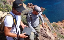 Ajaccio : Éradiquer les rats noirs des Sanguinaires pour protéger les oiseaux marins