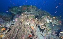 Le parc marin du Cap Corse et de l’Agriate récupère des filets perdus pour protéger la faune marine