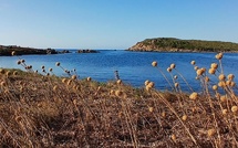 A màghjina :  Vogà versu l’Isula Piana