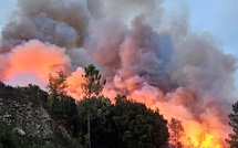 Venaco : un feu de forêt mobilise d’importants moyens