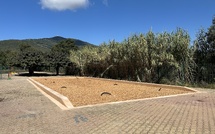 Ajaccio : la mairie donne un coup de frais aux écoles