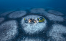 Le Parc marin du Cap Corse se dote d’un vice-président et engage de nouvelles protections