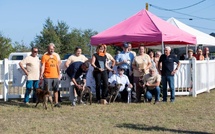 ​Appietto accueille ce week-end la 8e Nationale d’Élevage du cursinu