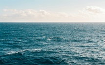 Une première immersion réussie d’une carcasse de cachalot au large de Calvi