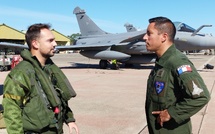 Avions Rafale et renard sur la piste : au plus près de l'exercice "Volfa", sur la base aérienne de Solenzara