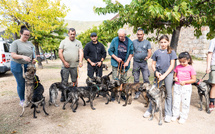 EN IMAGES - À Appietto, le cursinu mis à l'honneur