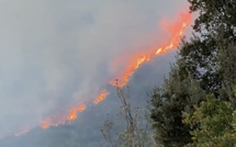 Feux d’Oletta et de Saint-Florent : la situation stabilisée