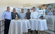 Une nouvelle vie pour les clémentines corses écartées du frais