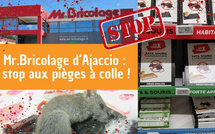Pièges à colle pour les rongeurs : une pétition vise le magasin Mr.Bricolage d’Ajaccio