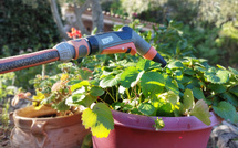 En pleine alerte sécheresse, imbroglio autour de l'arrosage et des forages privés à Porto-Vecchio