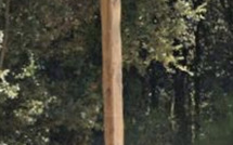 SOS Calvaires : "la croix de Quasquara ne violait aucune règlementation"