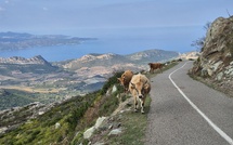 A màghjina - Regine di a strada di u Pignu