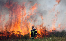 Incendies : Deux feux à Bisinchi et Volpajola
