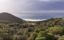 Tempête Benjamin : Drame à Galeria, des dégâts limités mais de fortes perturbations en Haute-Corse